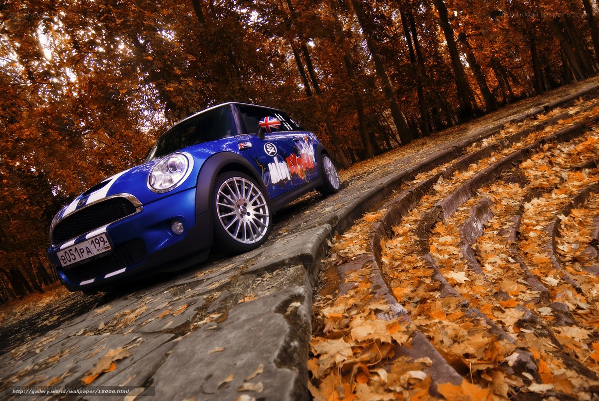 Blue Mini Cooper in autumn forest