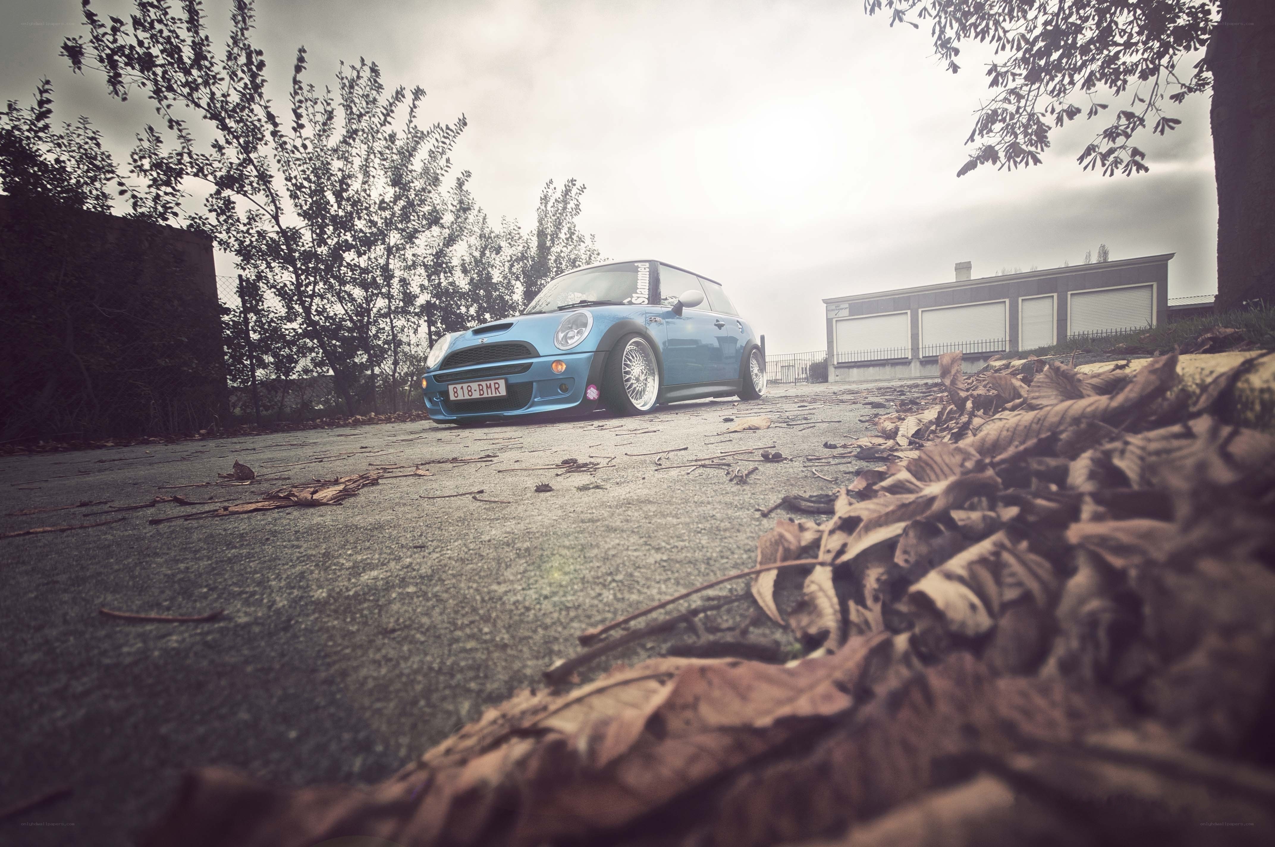 Blue Mini Cooper on a leafy street