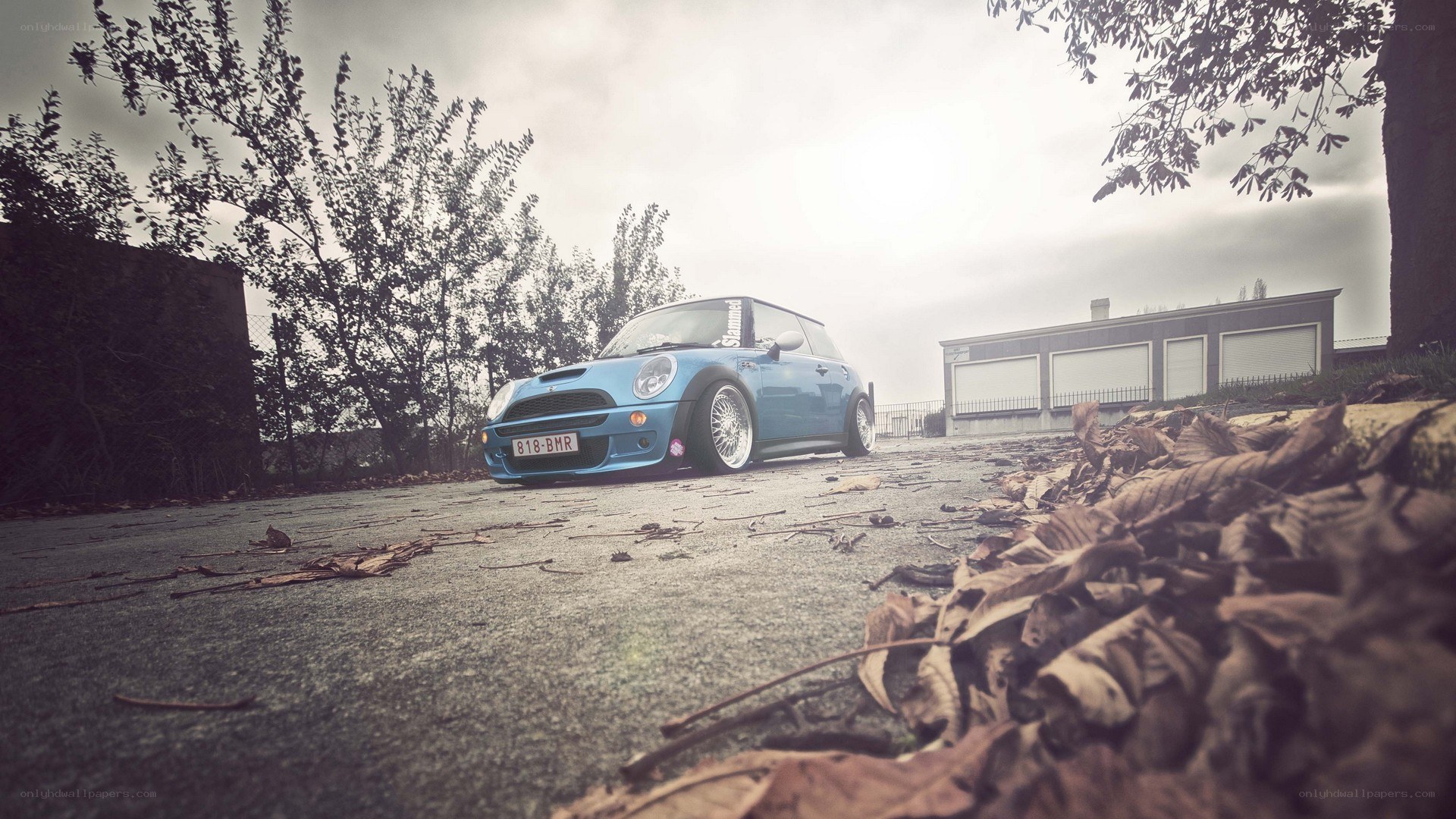 blue mini cooper on a leafy street