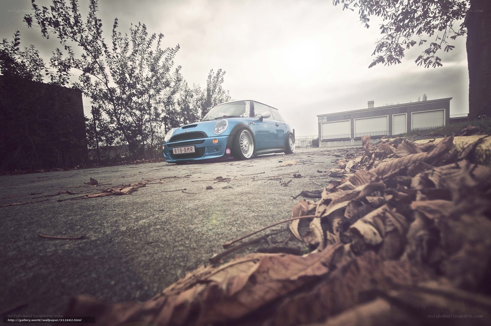 Blue Mini Cooper on a leafy street