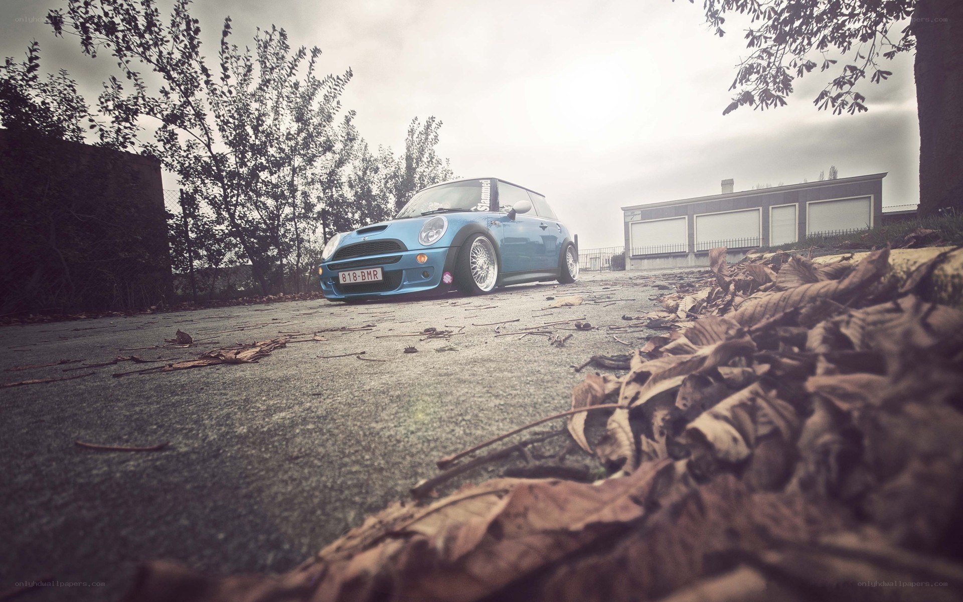 blue mini cooper on pavement