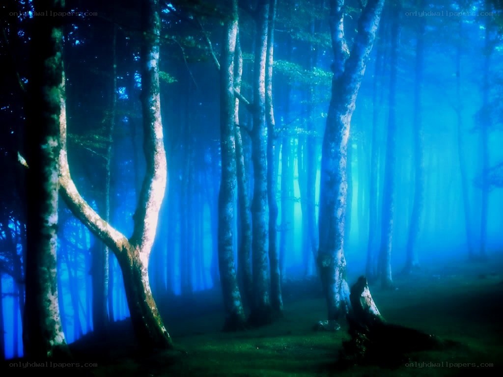 Blue misty forest at night