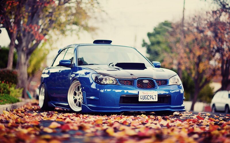Blue Modified Car — Calm, Autumn