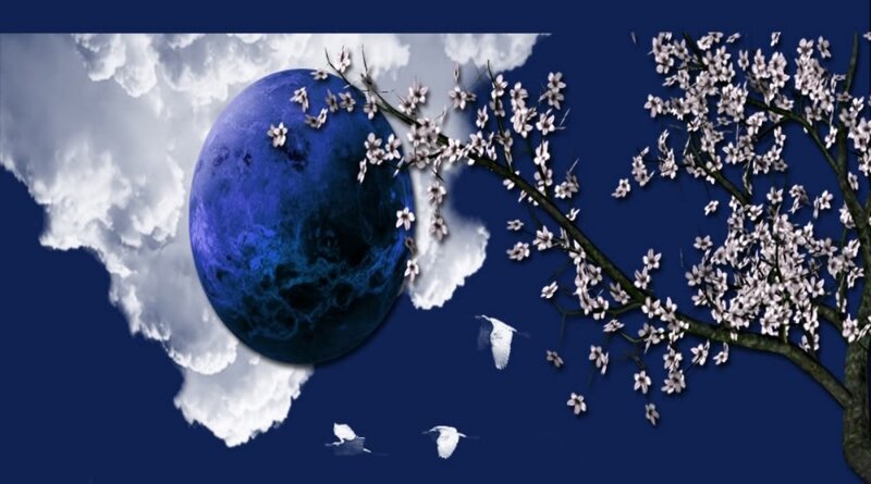 Blue Moon and Cherry Blossoms