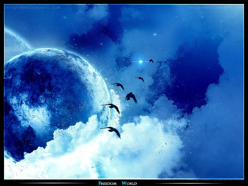 Blue moon and flying birds