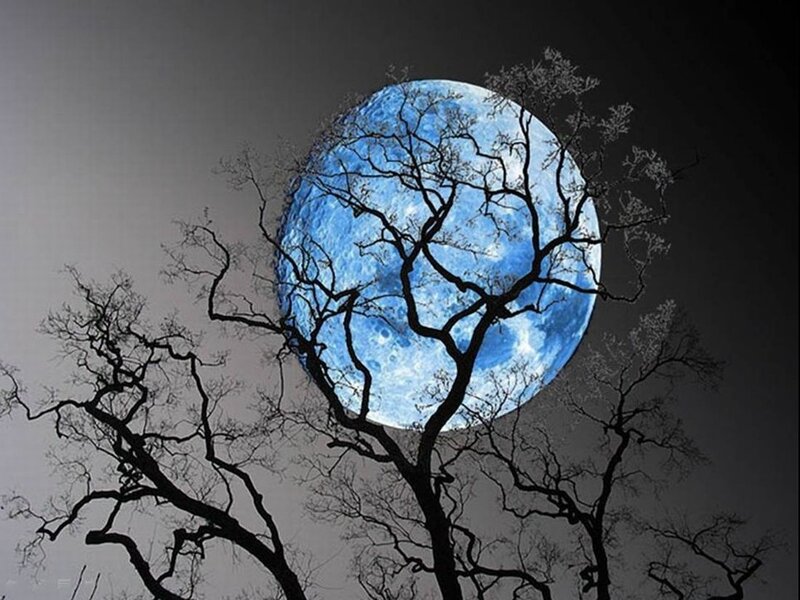 Blue Moon Behind Tree — Dramatic, Night