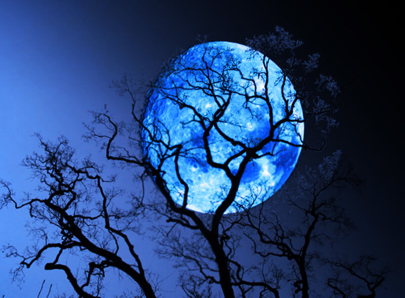 Blue Moon Behind Tree — Dramatic