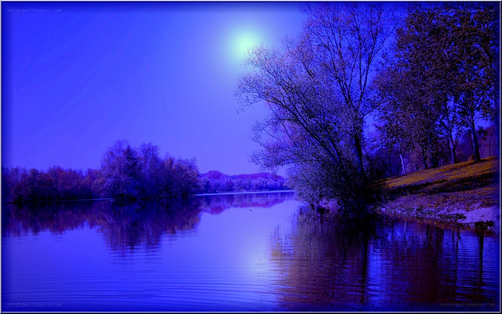 Blue moon over a calm lake