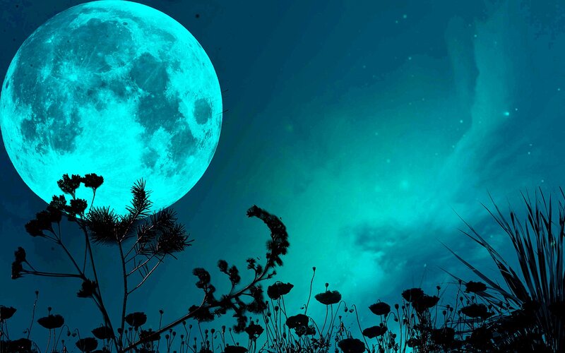 Blue Moon over Plants