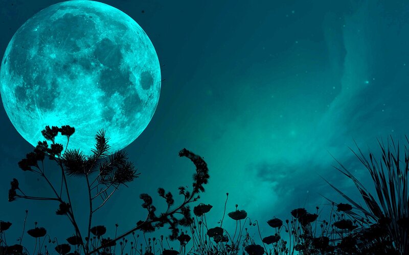 Blue moon over silhouetted plants