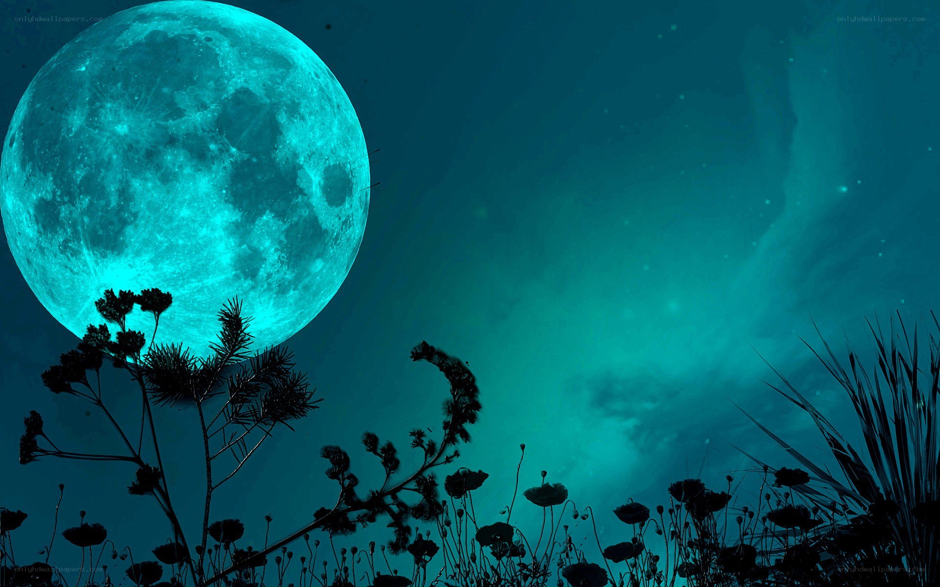 Blue moon over silhouetted plants