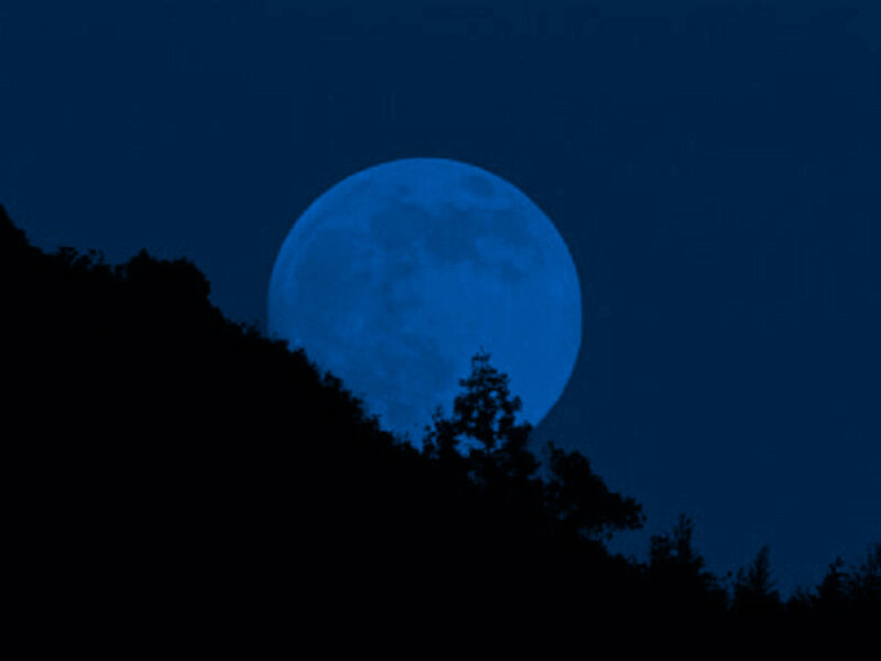 Blue moon over silhouetted trees