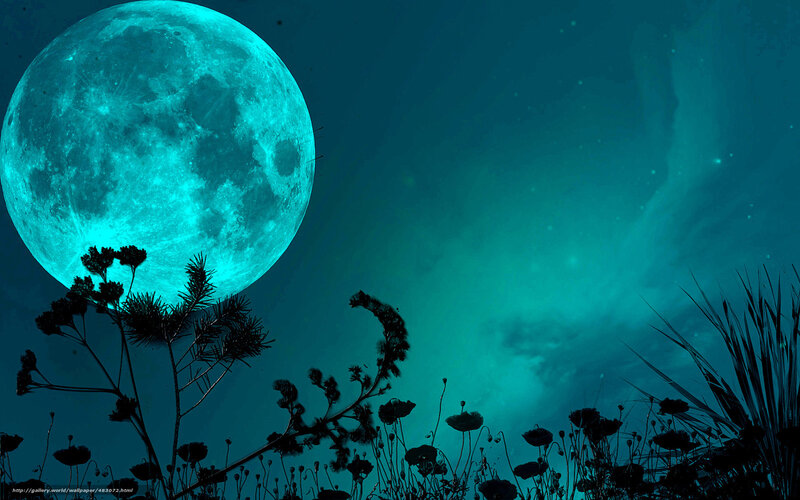 Blue moon over wildflowers
