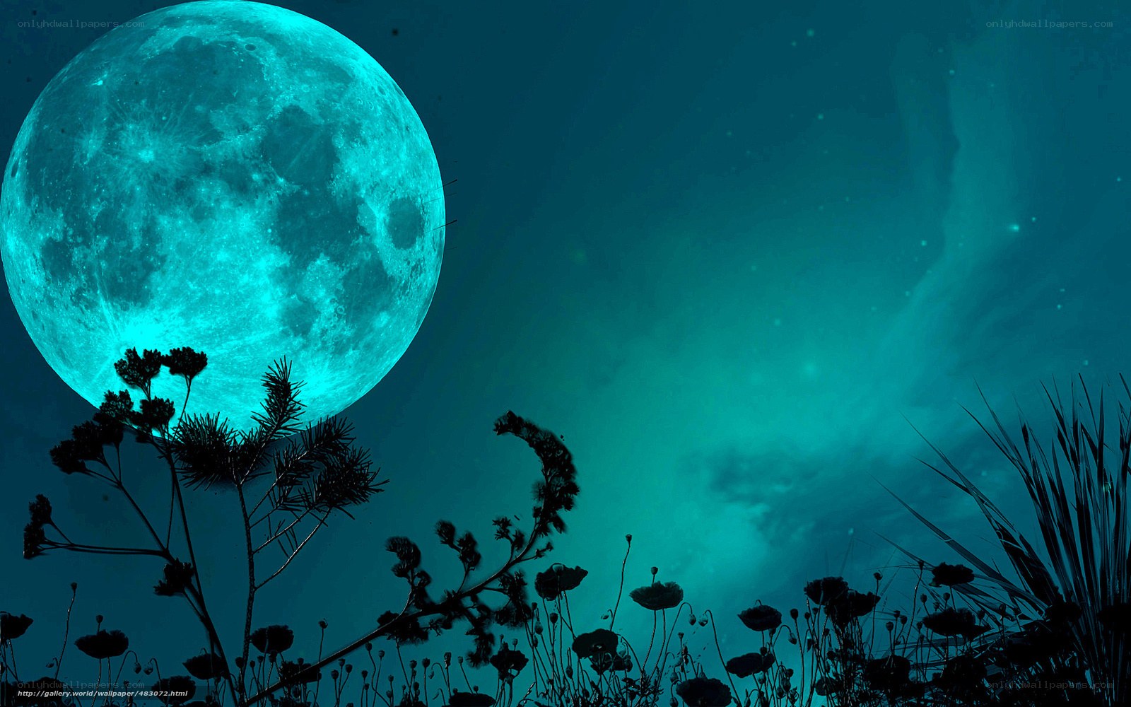 Blue moon over wildflowers