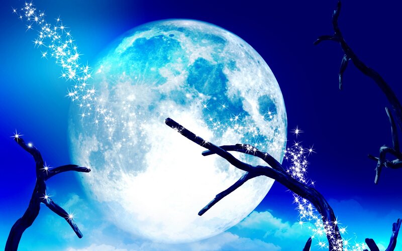 Blue Moon with Branches