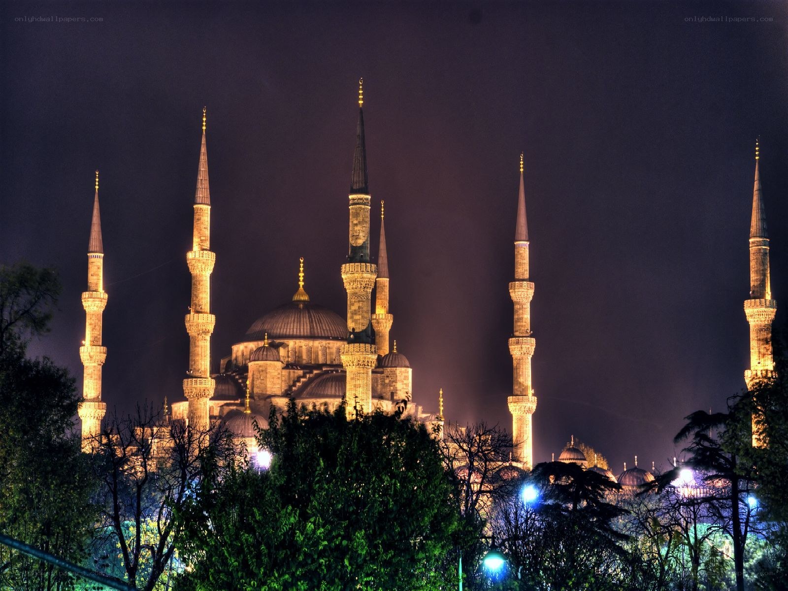 Blue Mosque at night