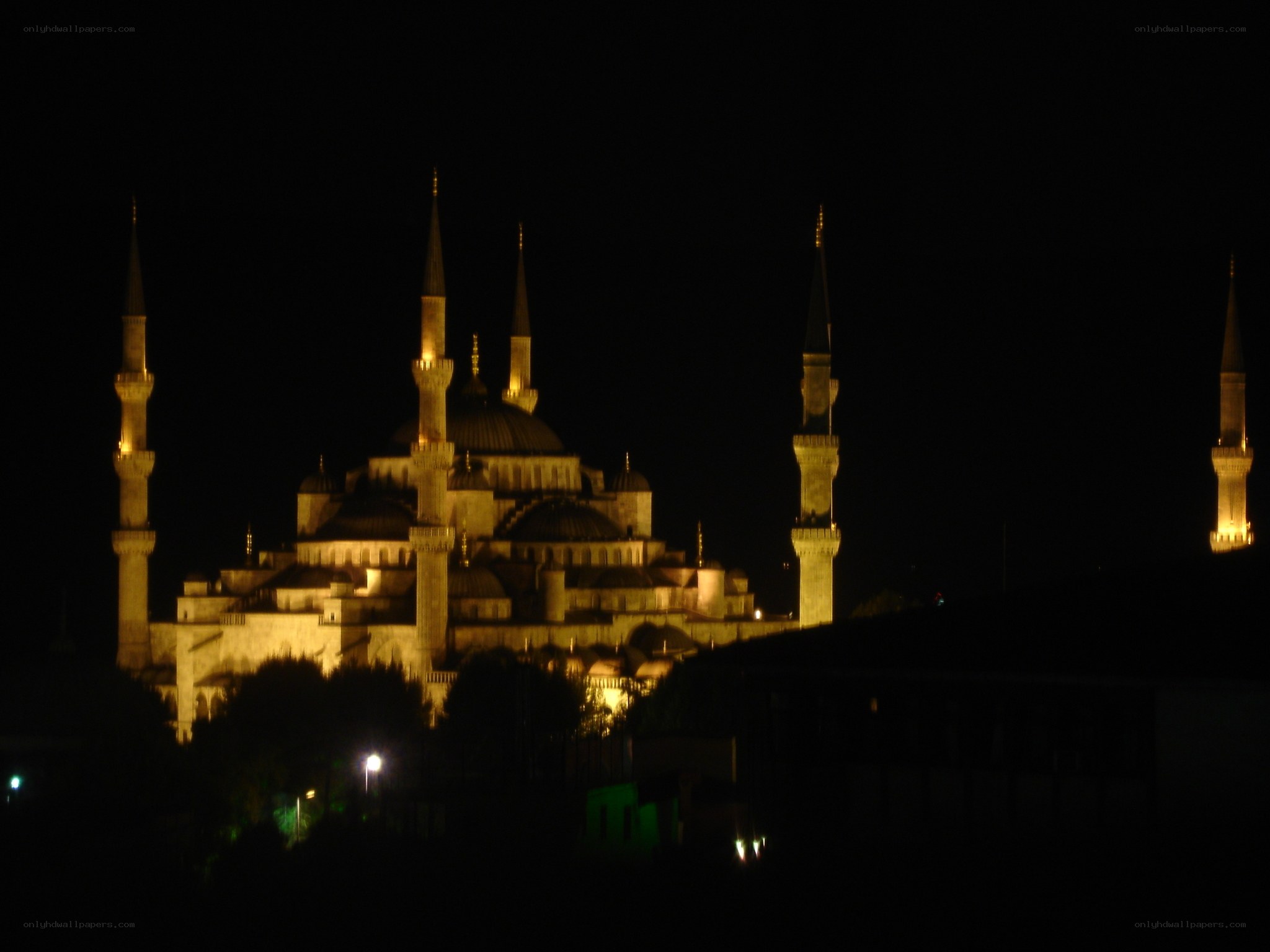 Blue Mosque at night