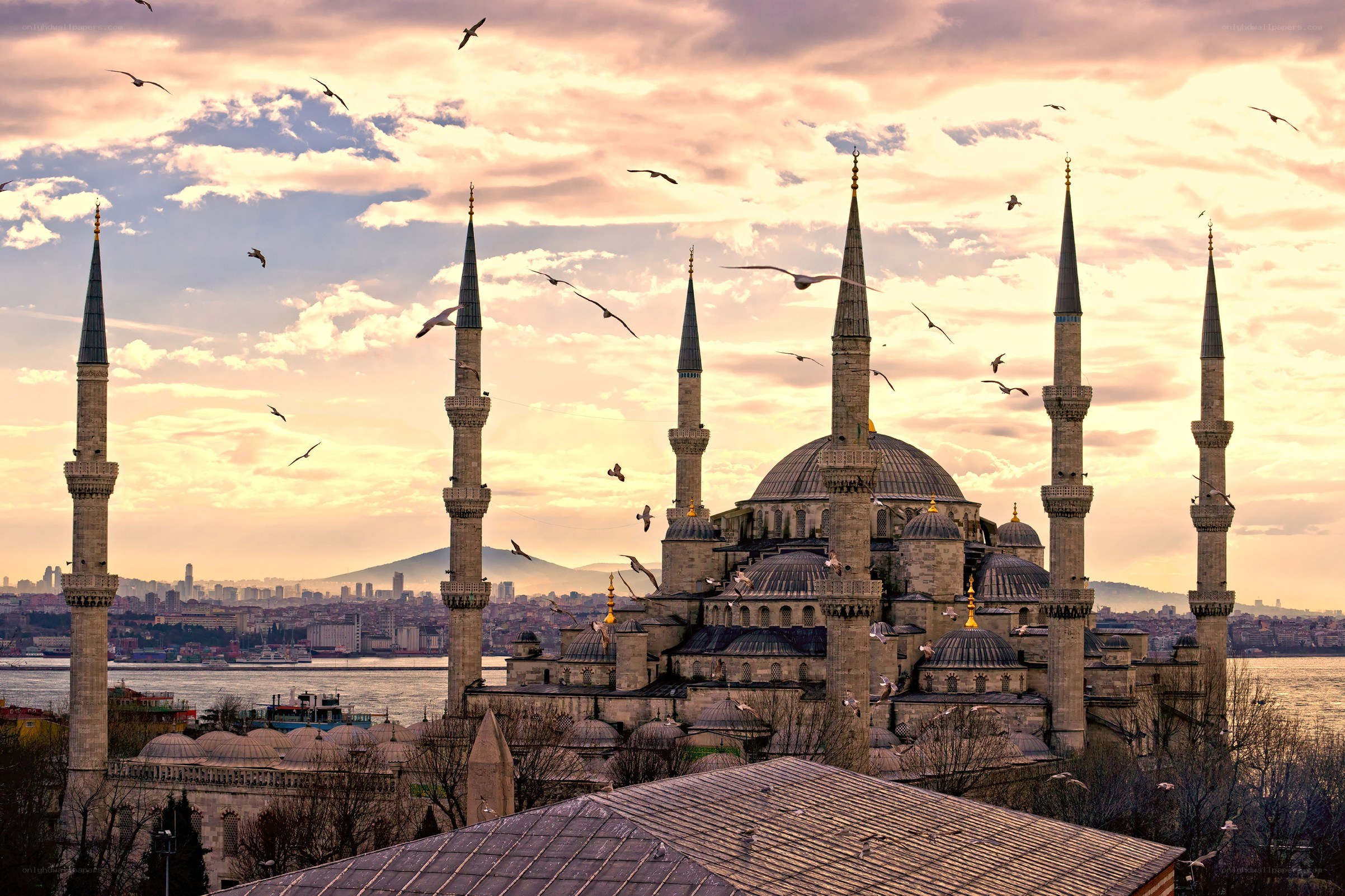 Blue Mosque at sunset with seagulls