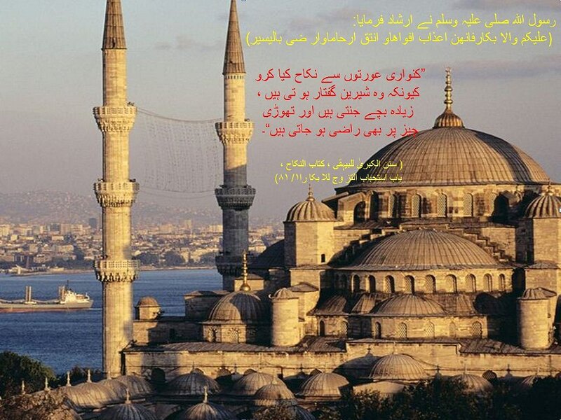 Blue Mosque in Istanbul — Brown, Serene