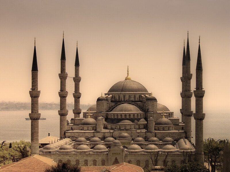 Blue Mosque in Istanbul — Brown