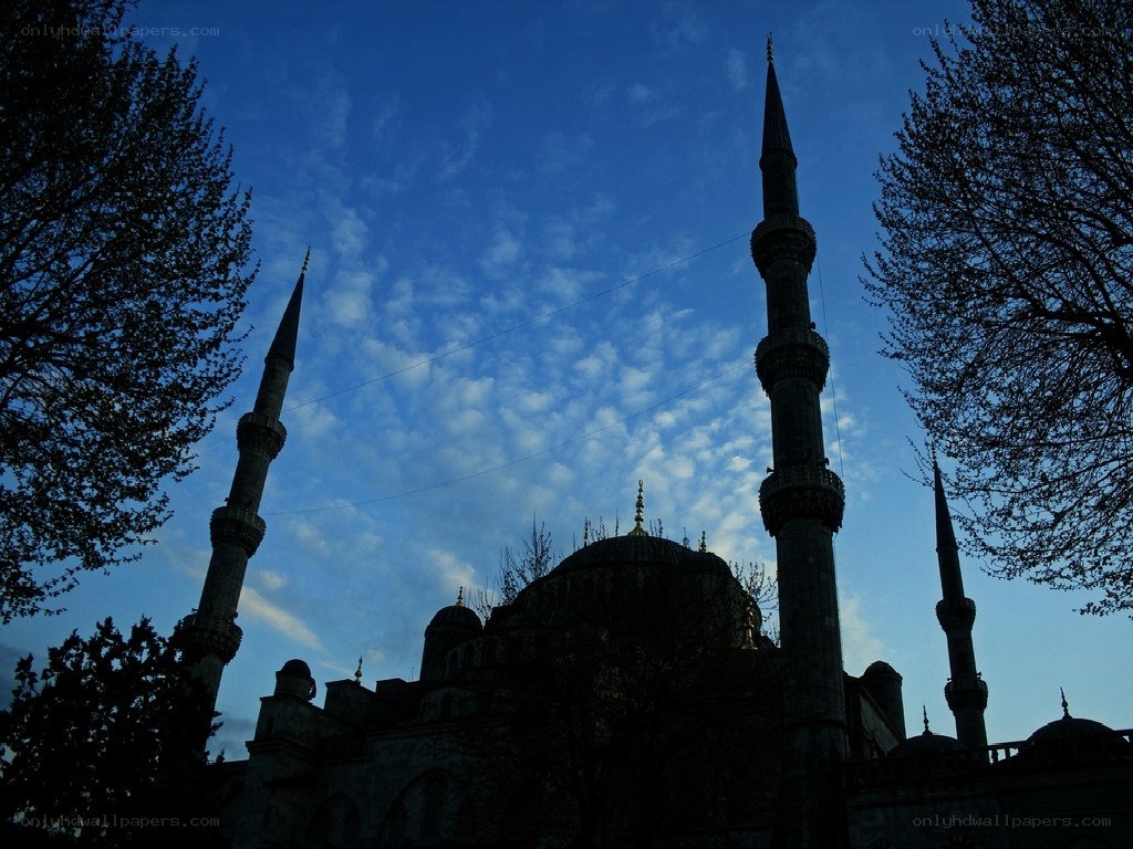 Blue Mosque silhouette at dusk