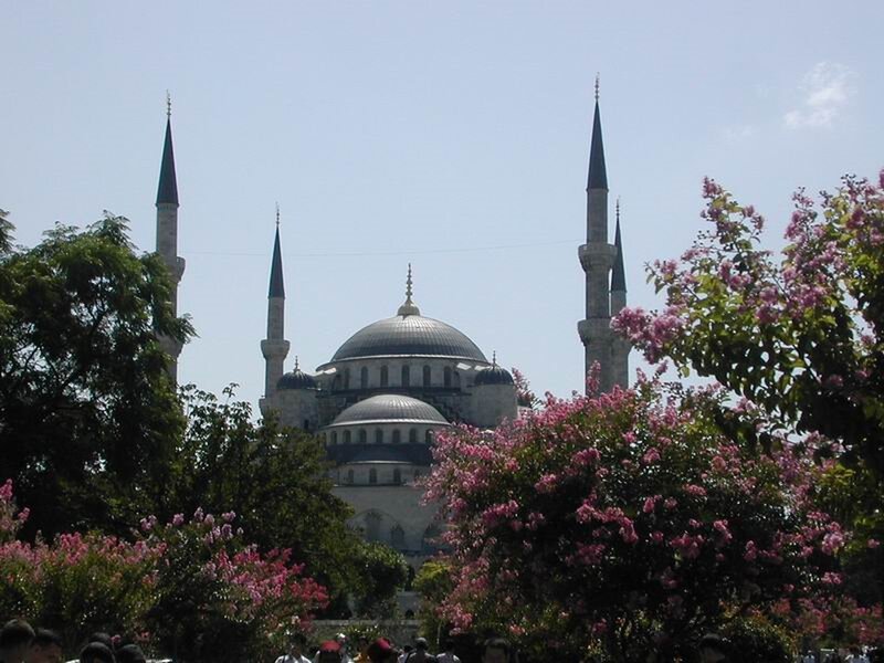Blue Mosque with blooming trees