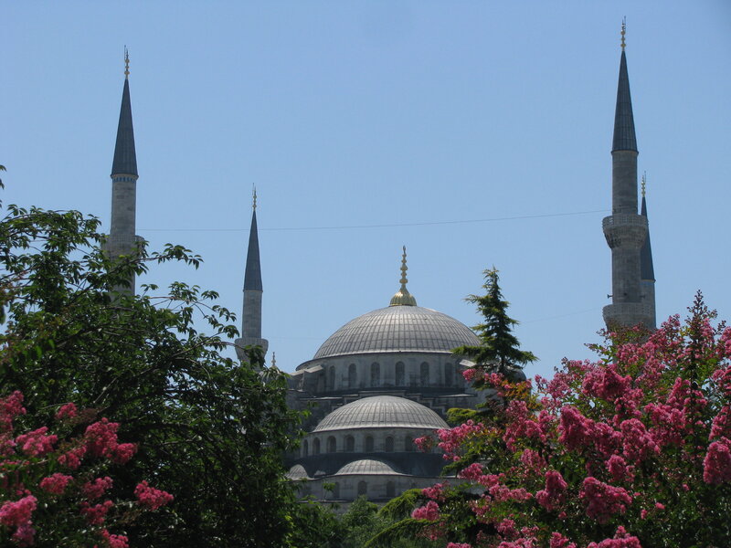 Blue Mosque with pink flowers