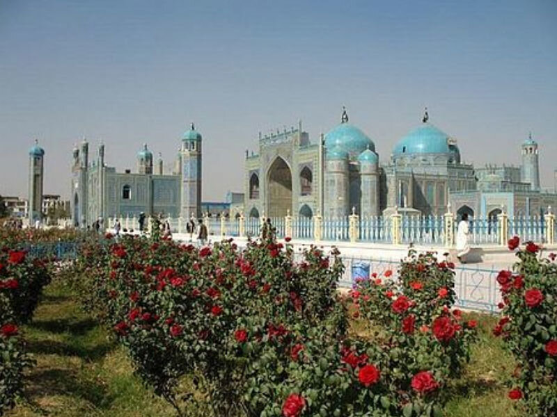 Blue Mosque with Rose Garden