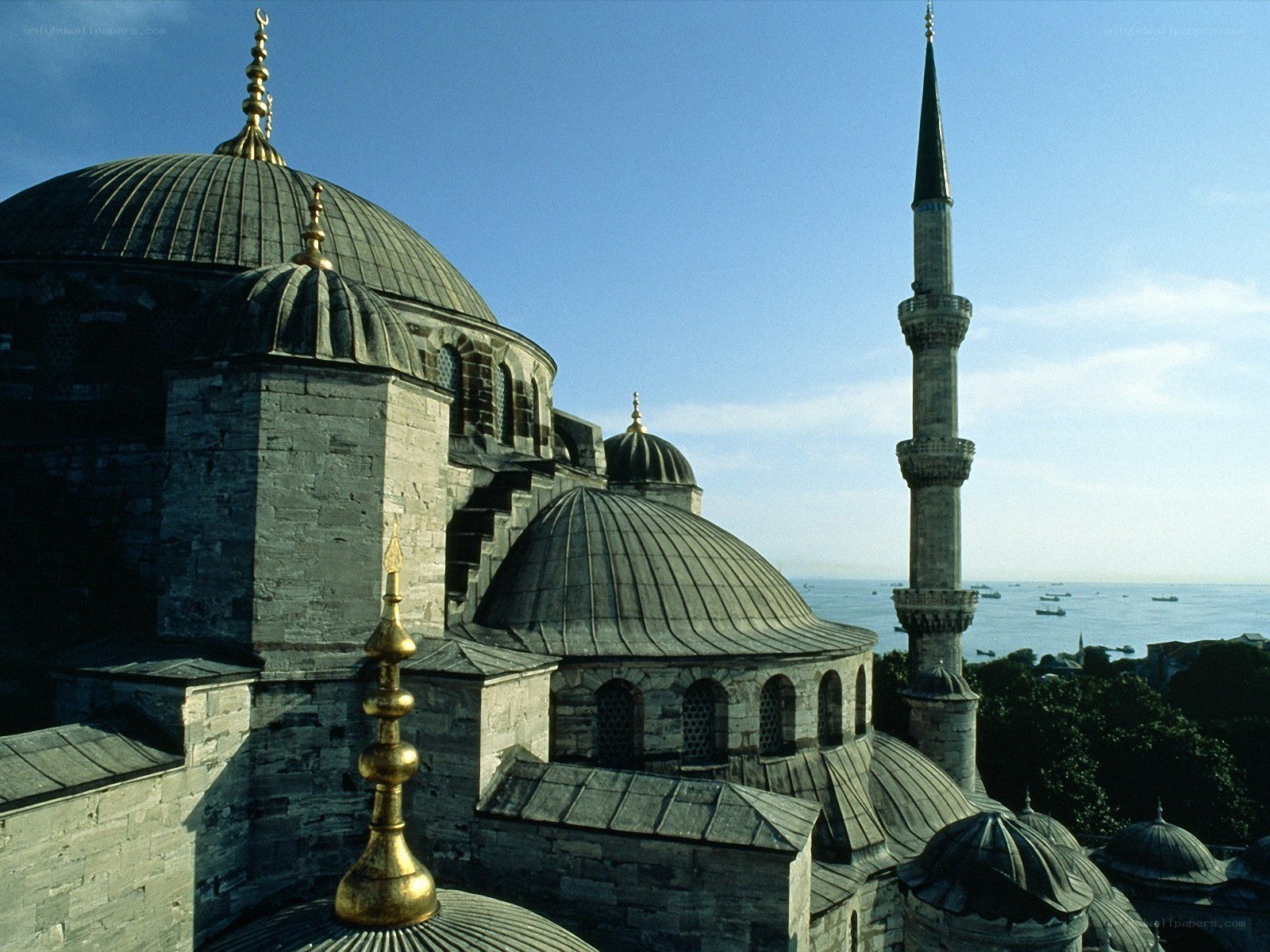 Blue Mosque with sea view