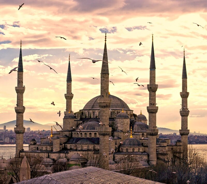 Blue Mosque with Seagulls