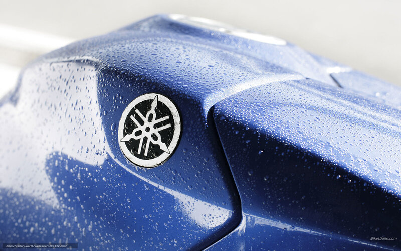 Blue Motorcycle Fuel Tank — Clean
