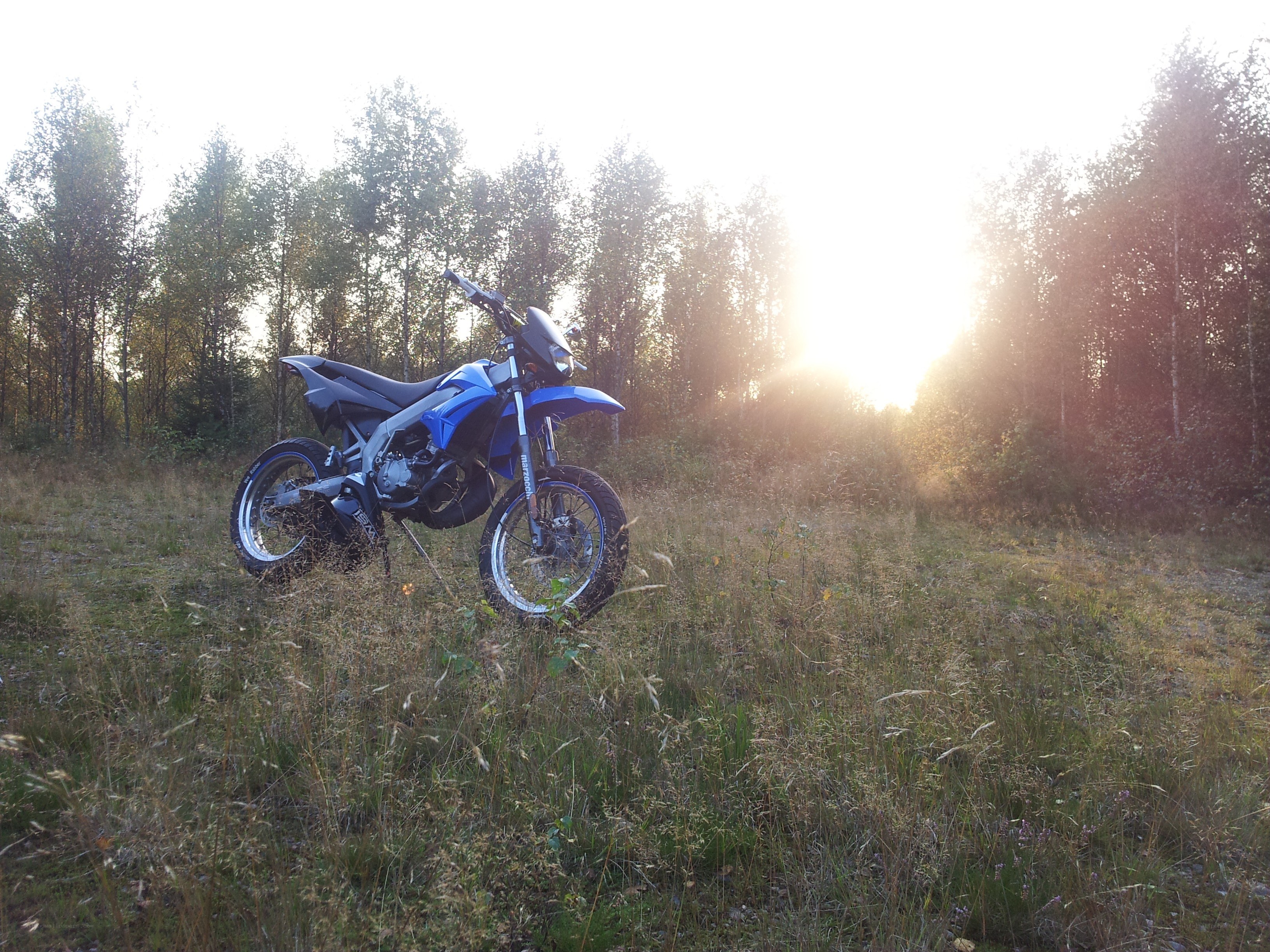Blue motorcycle in a field