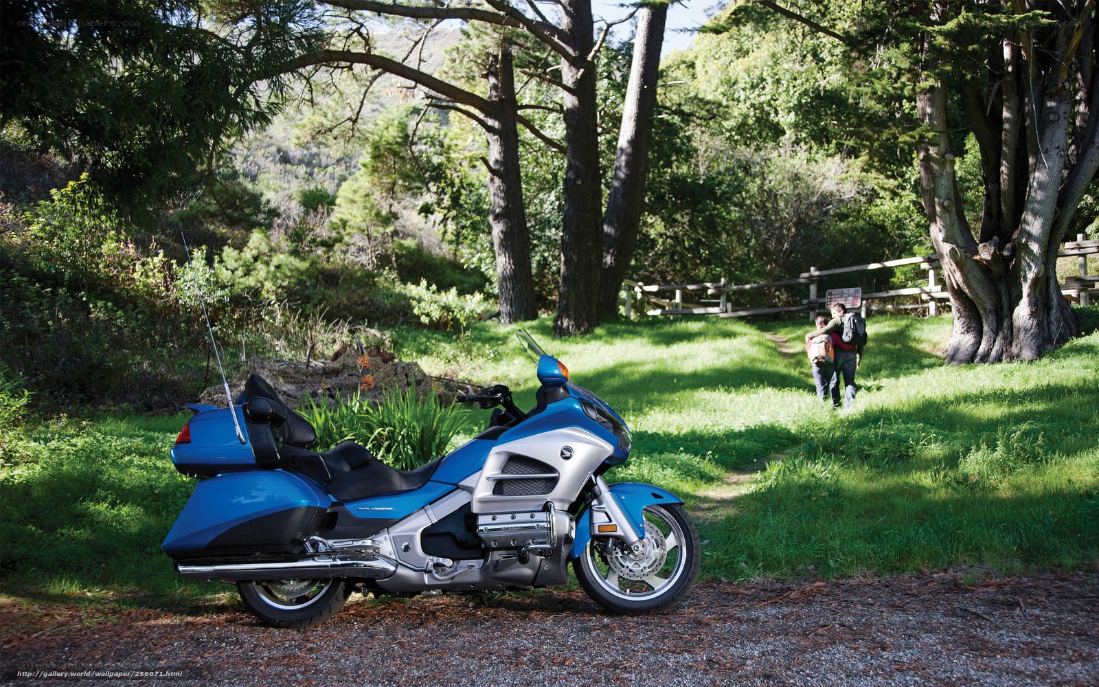 Blue motorcycle in forest