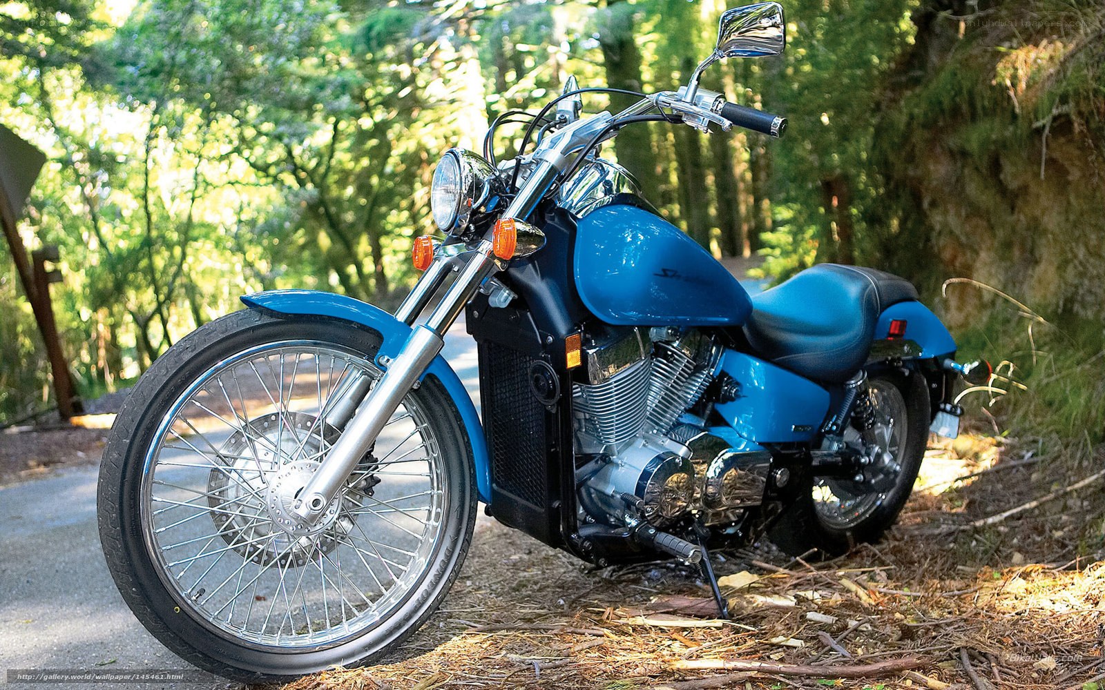 Blue motorcycle in forest
