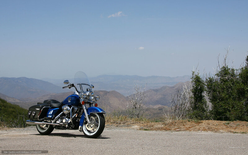 Blue Motorcycle on Road — Serene