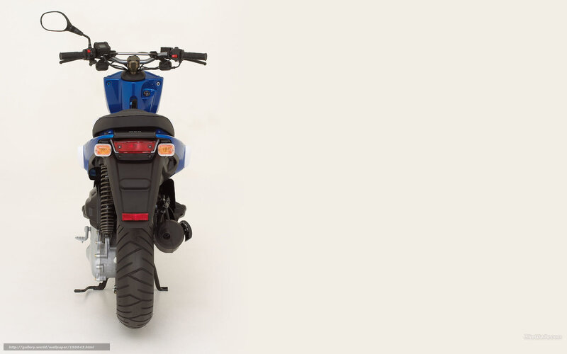 Blue Motorcycle Rear View — Neutral, Photograph, Handlebars