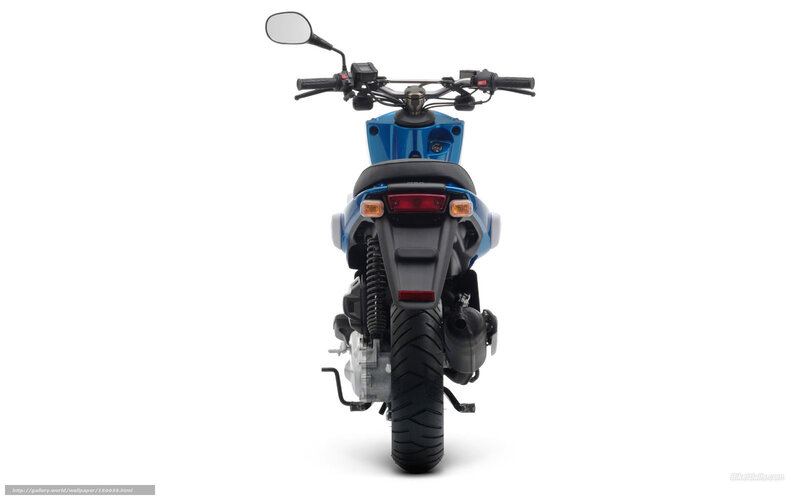 Blue Motorcycle Rear View — Neutral, Photograph, Rear Wheel