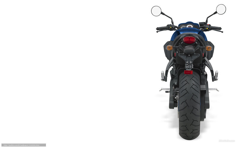 blue motorcycle rear view