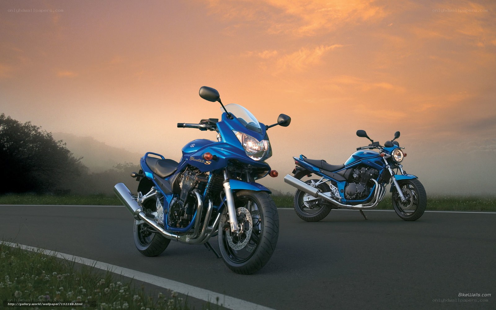 Blue motorcycles on a road