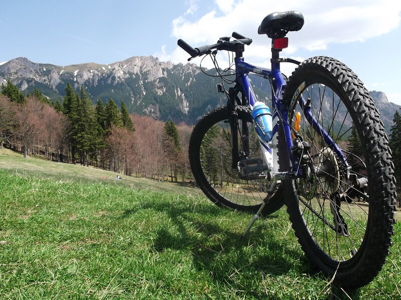 Blue Mountain Bike — Green