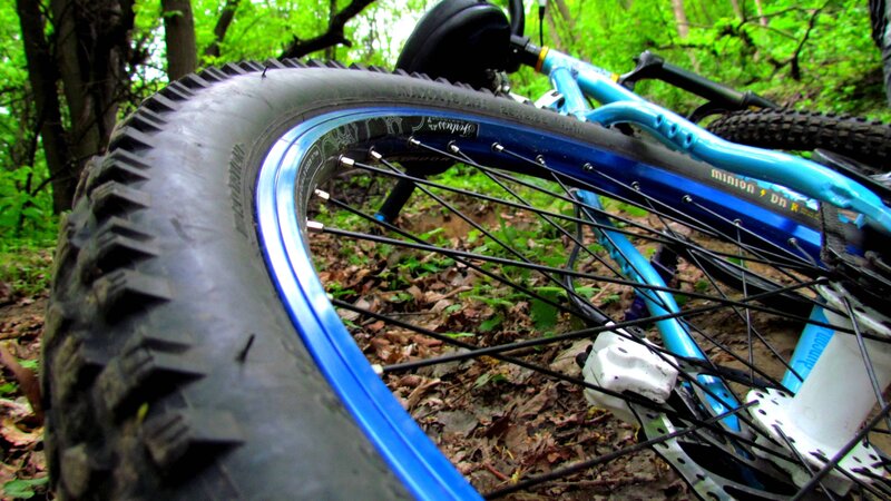 blue mountain bike in forest