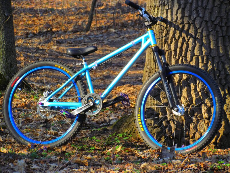blue mountain bike in forest