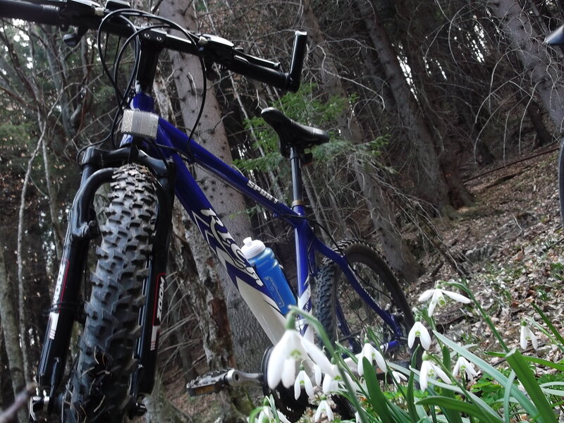 Blue Mountain Bike — Serene