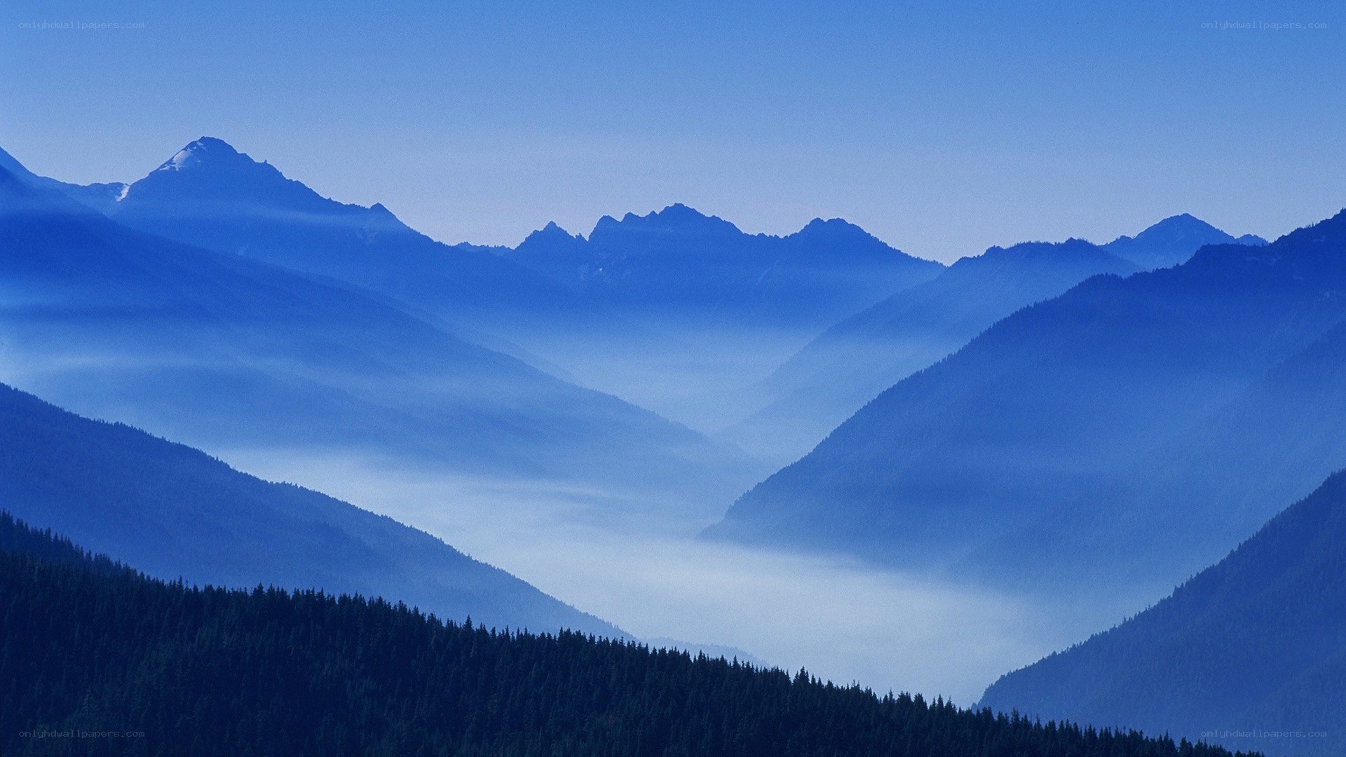 Blue mountain range at dawn