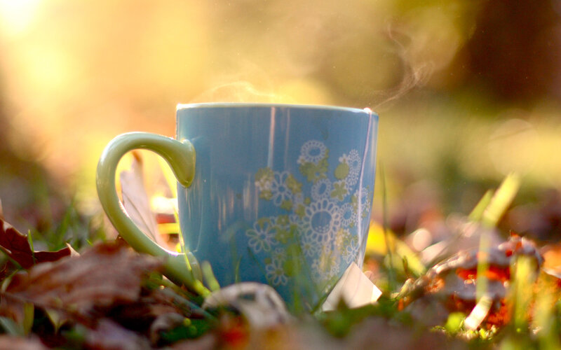 Blue Mug in Grass
