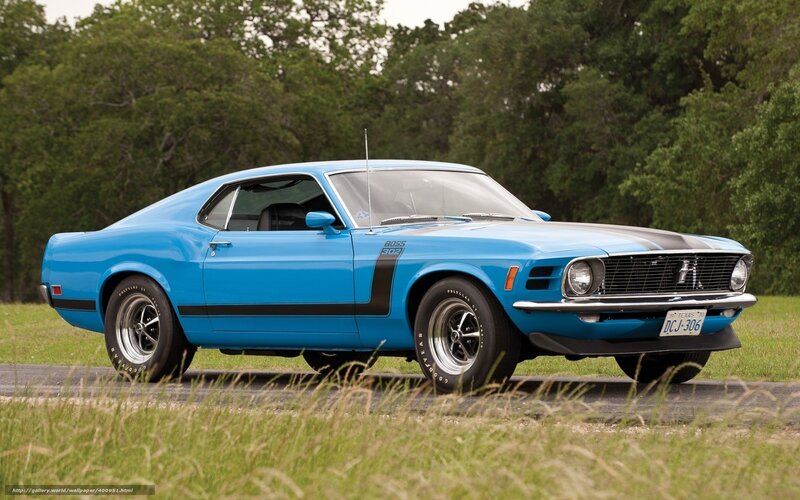 Blue Muscle Car — Calm, Afternoon, Photograph, Road, Trees, Grass