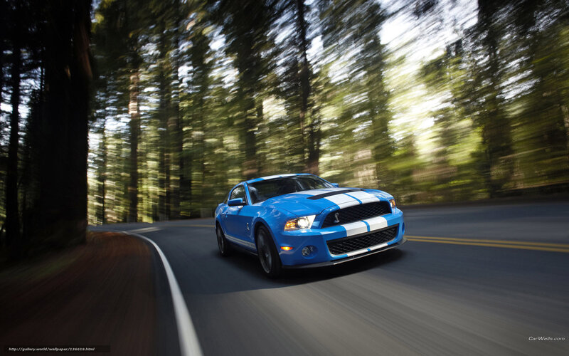 Blue Muscle Car — Dynamic, Afternoon, Photograph, Road