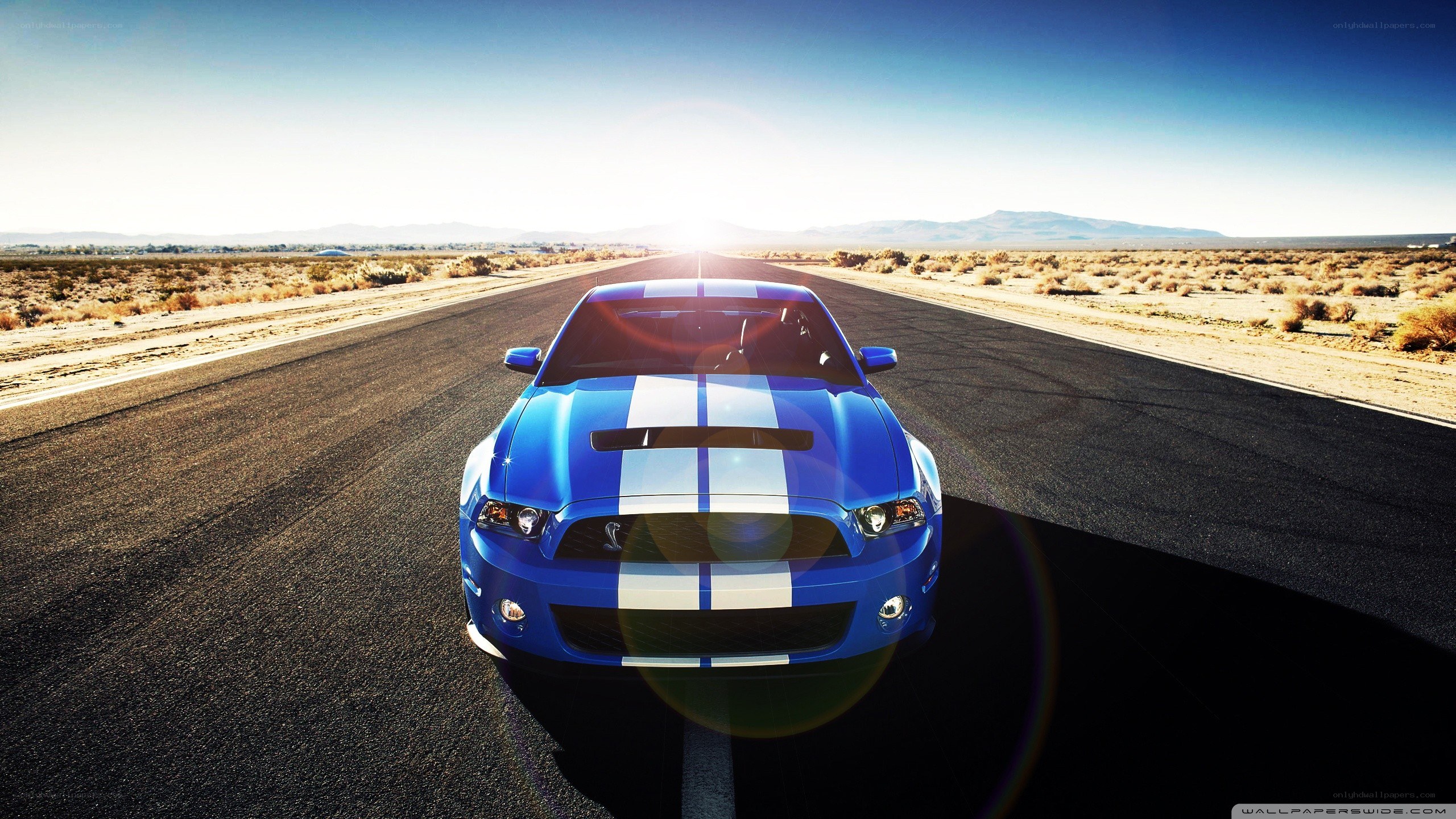 blue muscle car on desert road