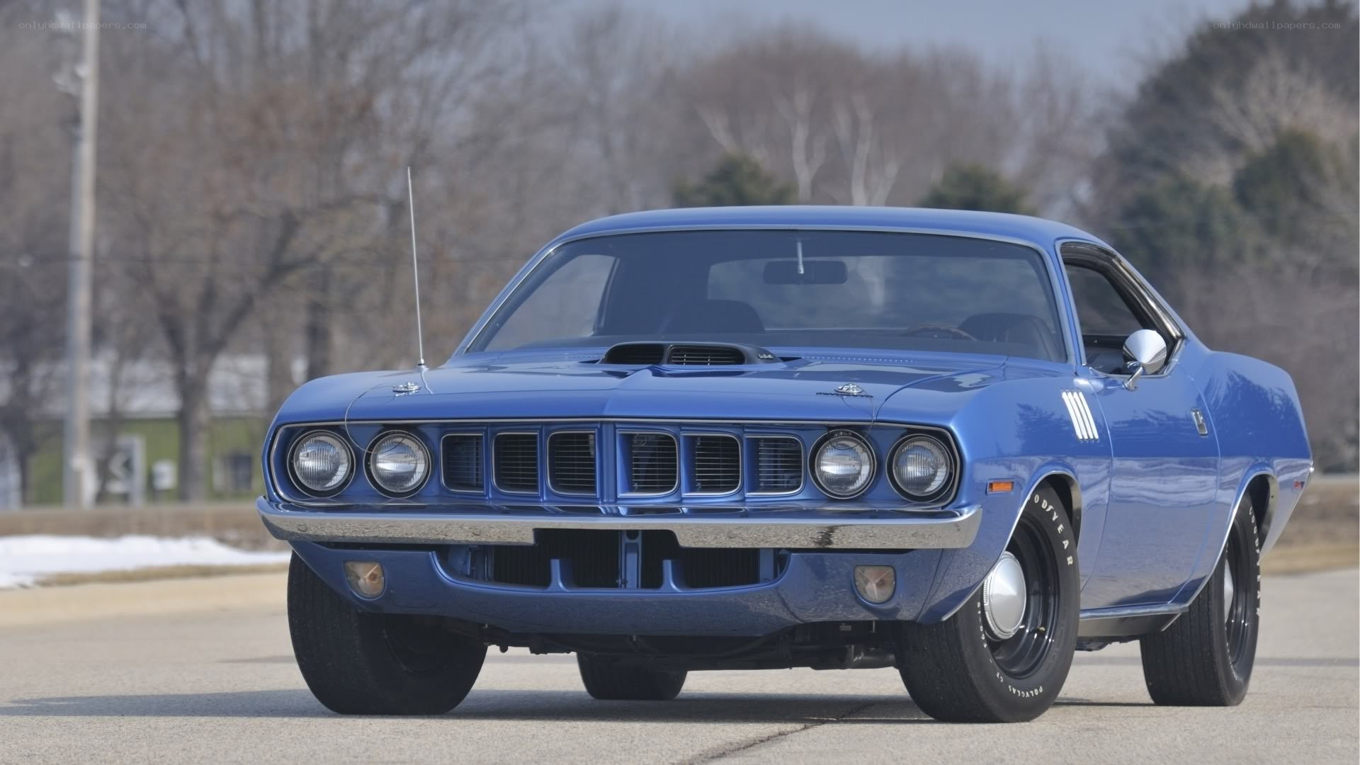 blue muscle car on road