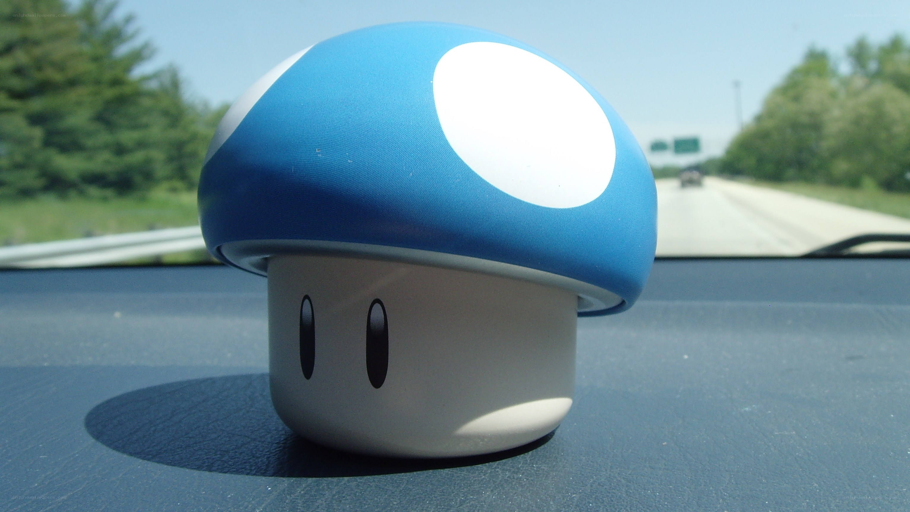 blue mushroom toy on dashboard
